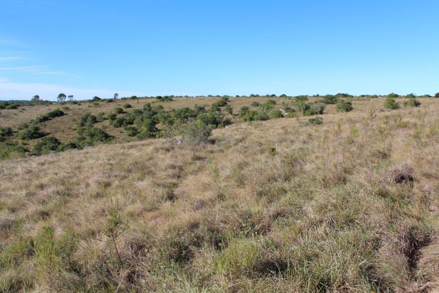 1 Bedroom Property for Sale in Bathurst Rural Eastern Cape